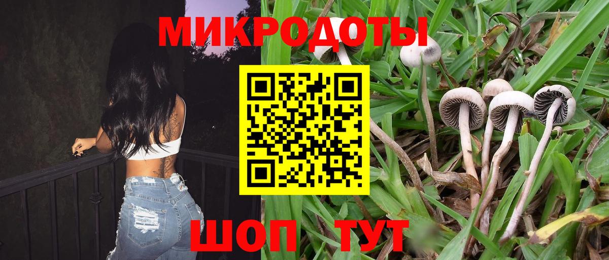 Хасавюрт  Псилоцибиновые грибы Psilocybine cubensis  Псилоцибиновые грибы ЛСД  Вход с VPN 